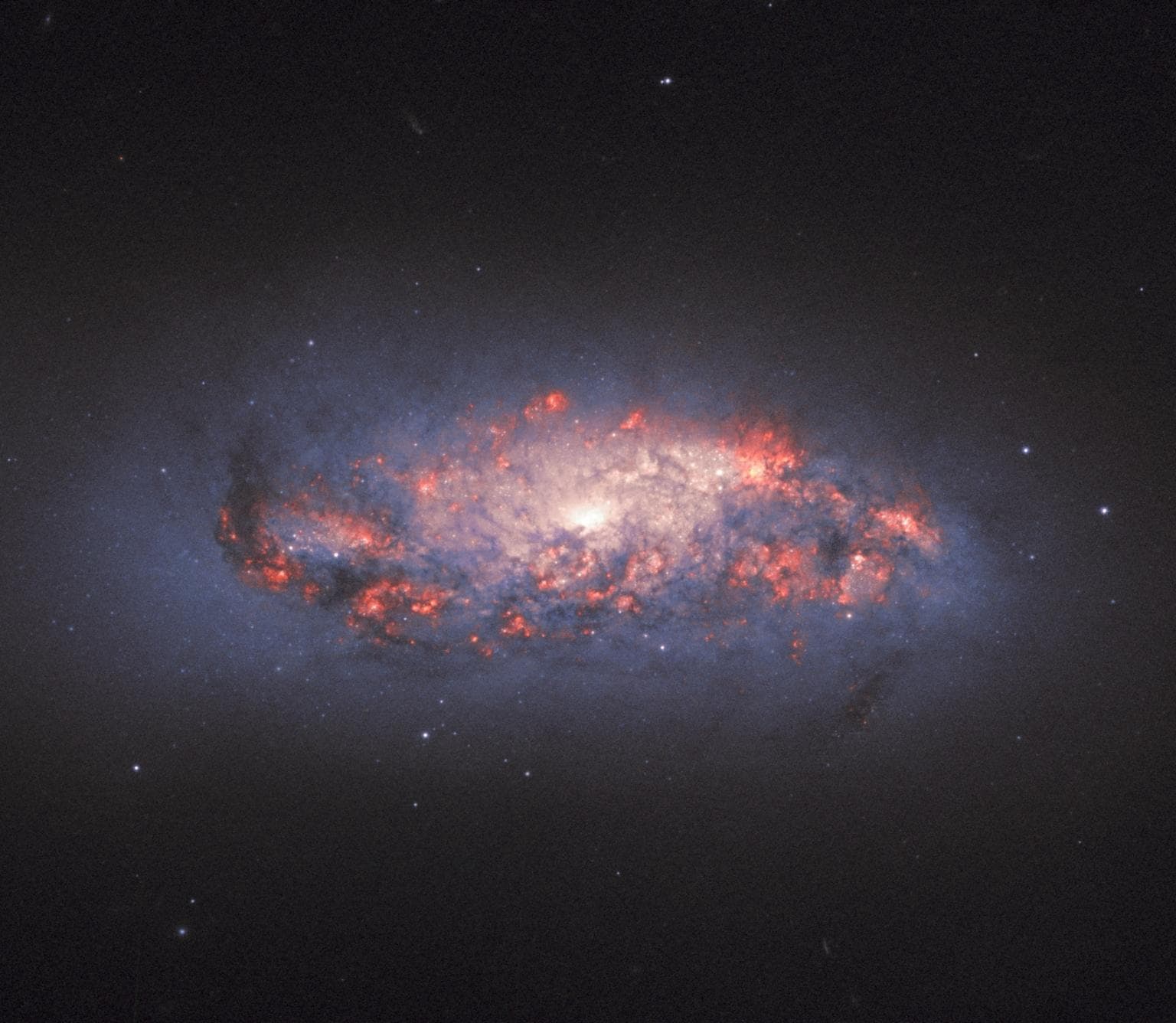 This NASA/ESA Hubble Space Telescope image shows bright, colorful pockets of star formation blooming like roses in a spiral galaxy.
