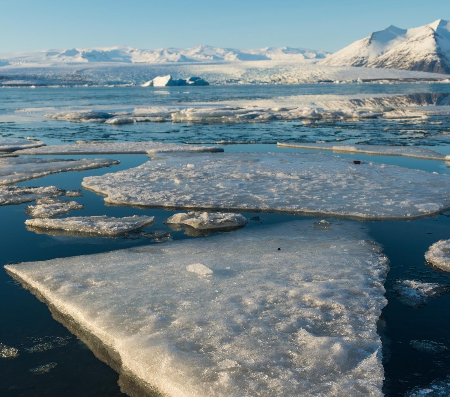 ice sheets are floating on water