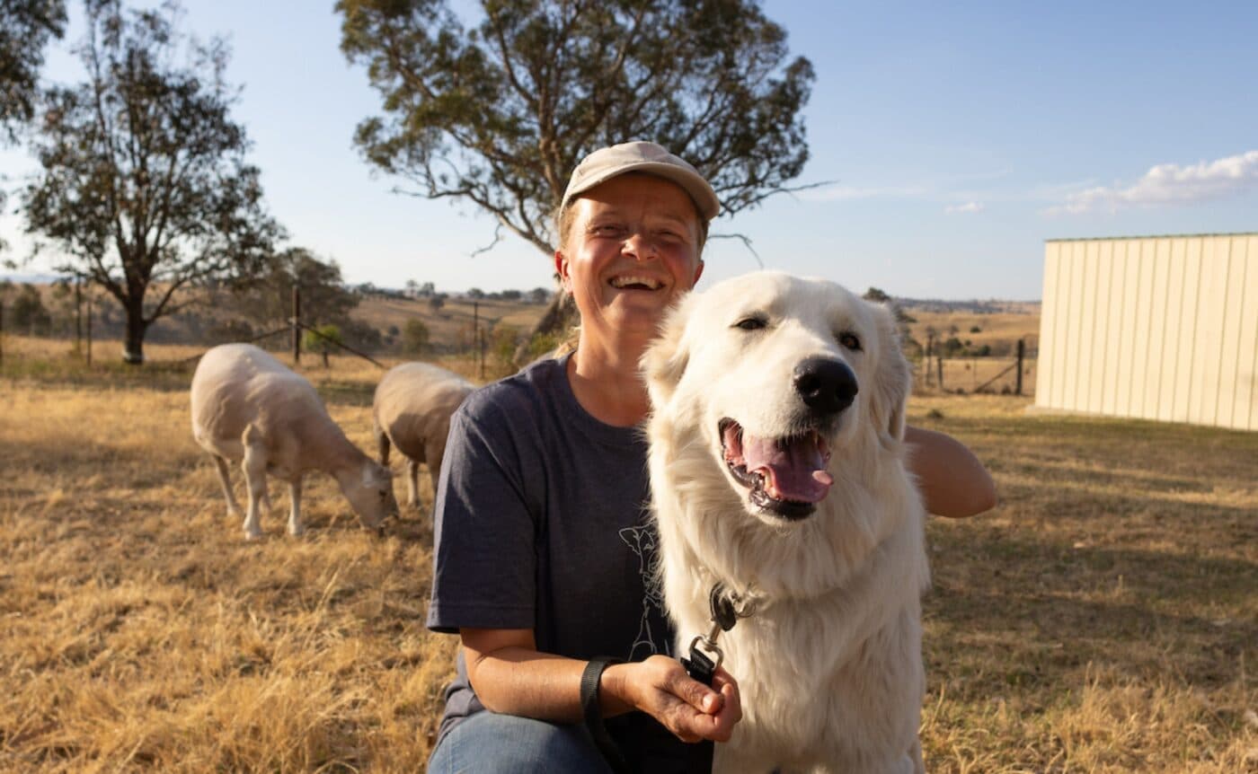 Owner smiles with sheepdog with sheep grazing in background.