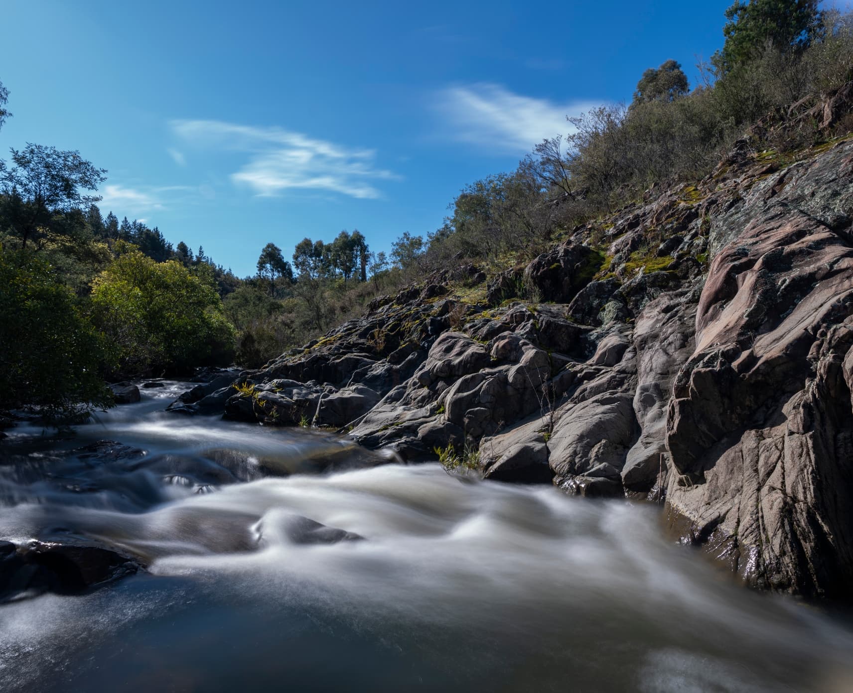 A creek with water flowing