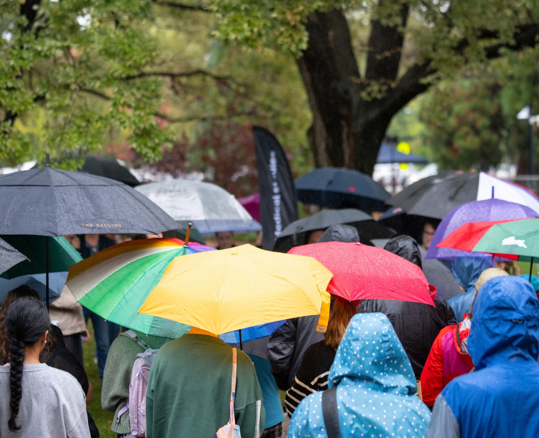 A crowd of people each holding different coloured umbrellas. None of their faces are visible.