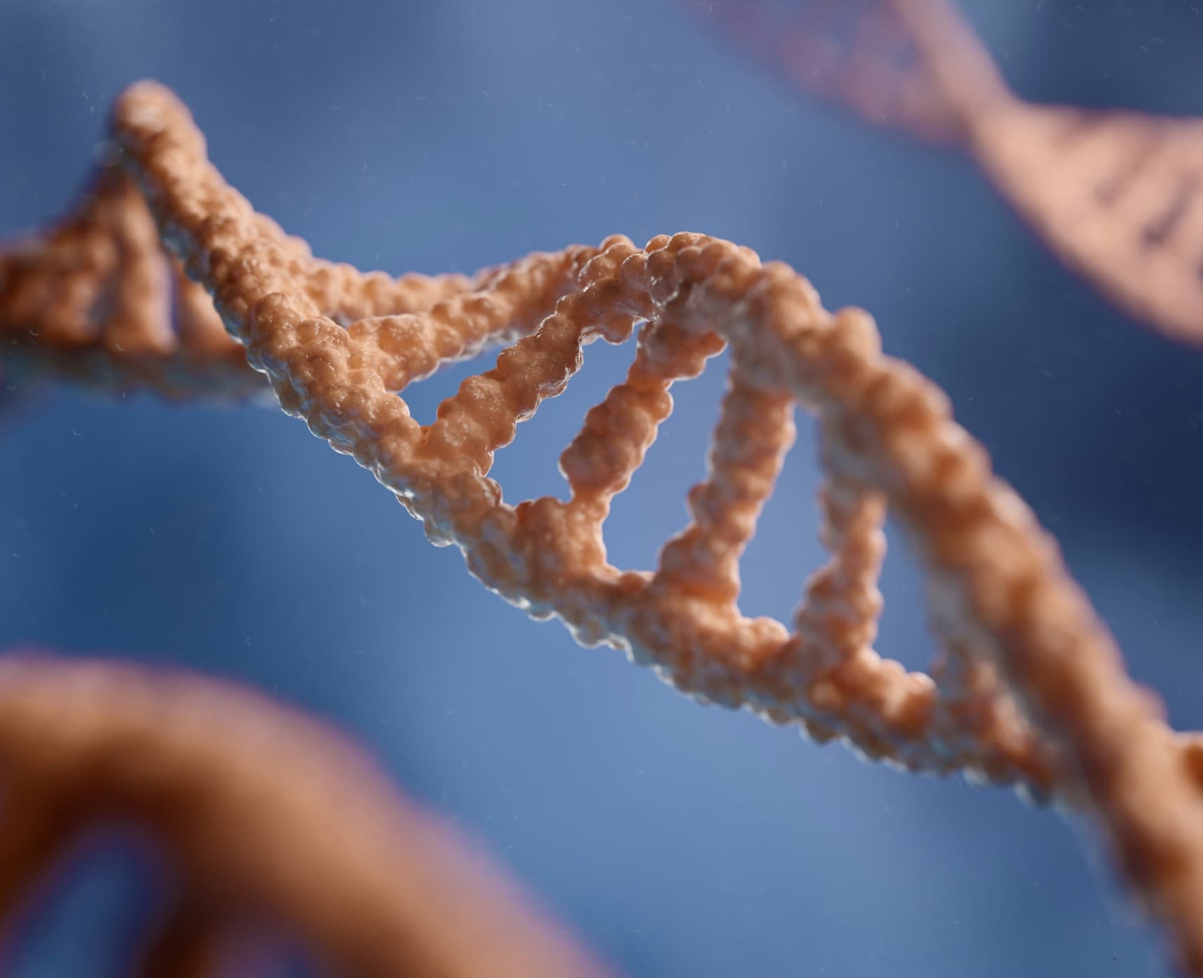 An image of a double helix (human DNA).