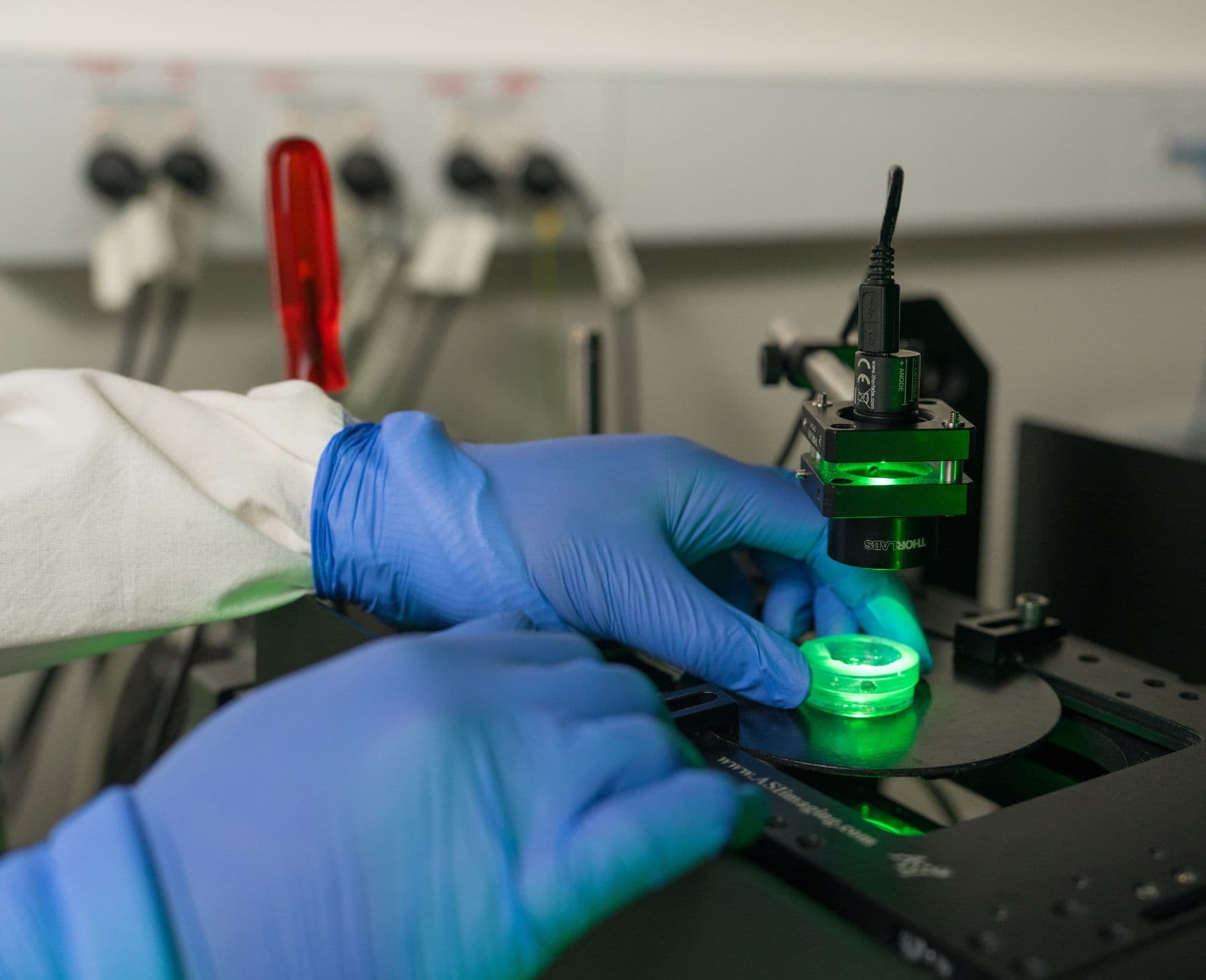 Close-up of scientist holding cell sample under a microscopy instrument.