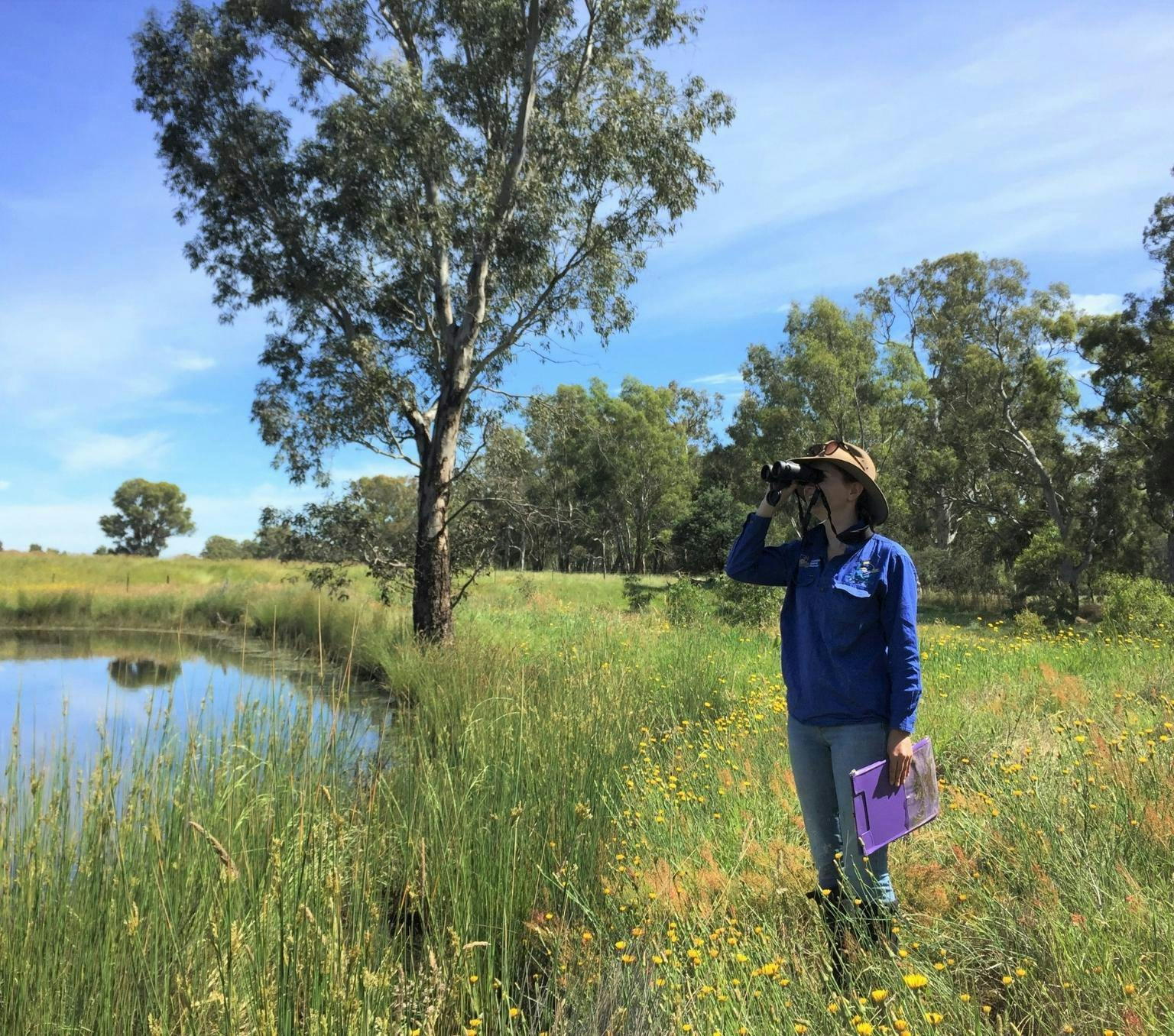 Angelina is standing in a field of long grass looking through binoculars over a pond. There are trees in the background. Angelina is wearing a broad brimmed hat, blue collared shirt and light blue jeans