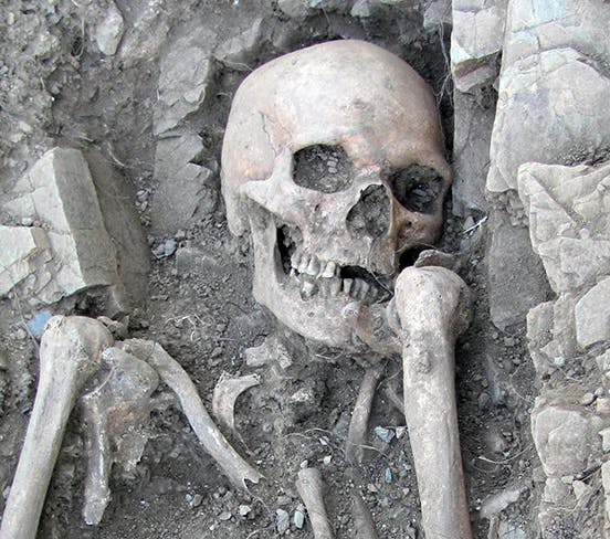 A 1,000-year-old skeleton from Portugal with skull and torso bones showing.