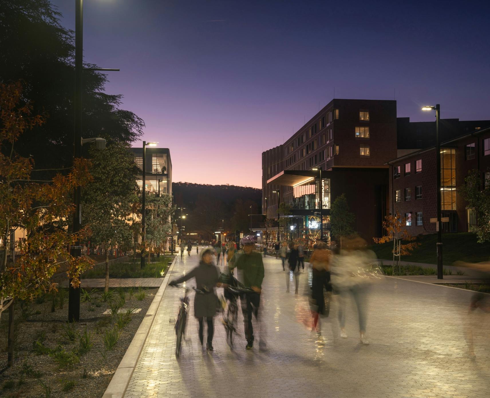 Students walk and bike across university avenue at dusk