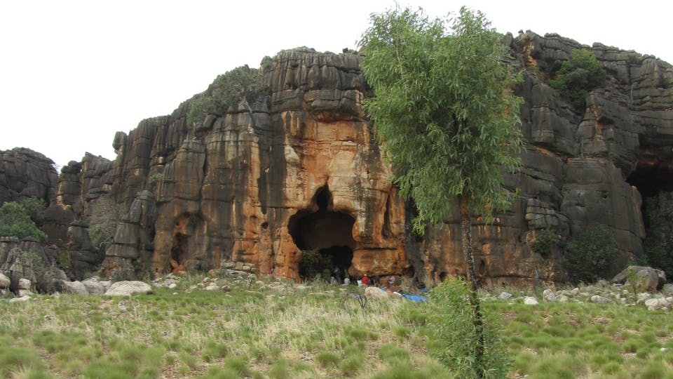 entrance to a cave at the foot of a large brown and black rock with a tree and grass in the foreground