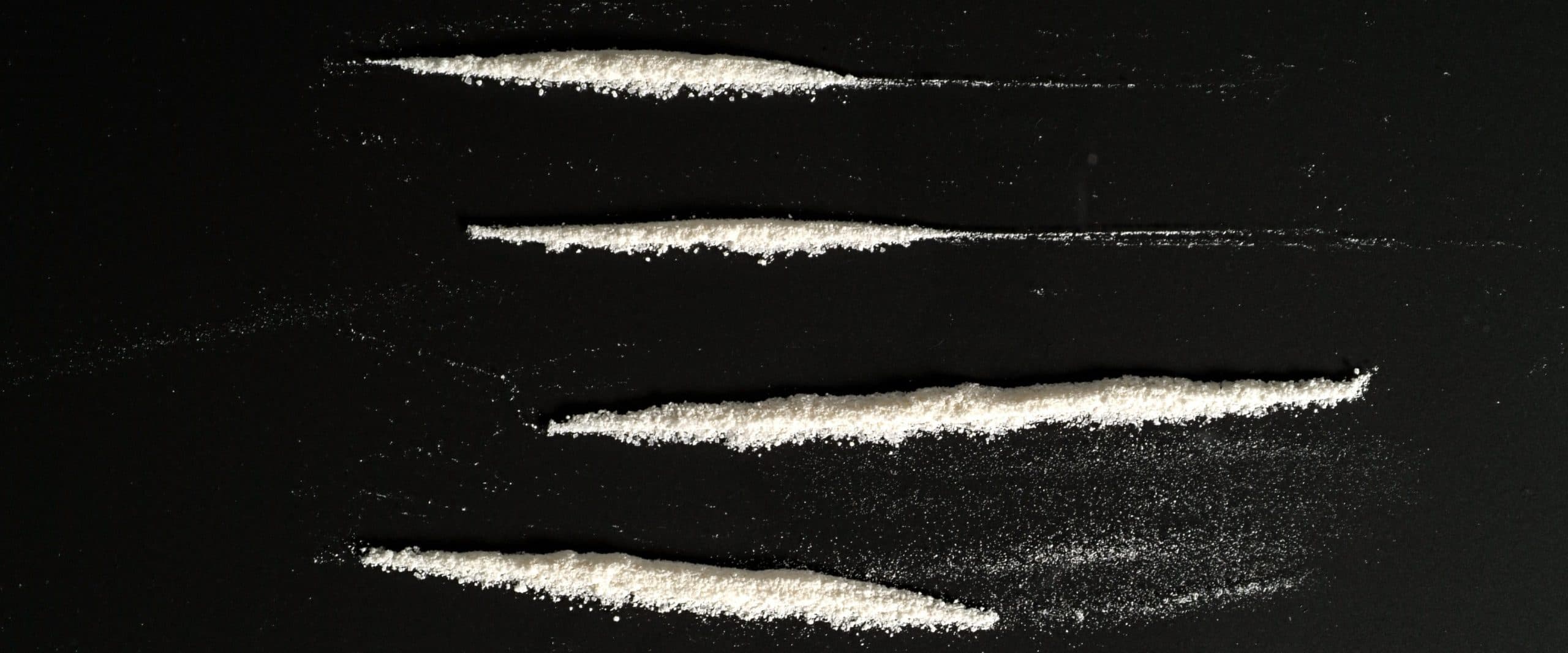 Rows of white powder on a black background.