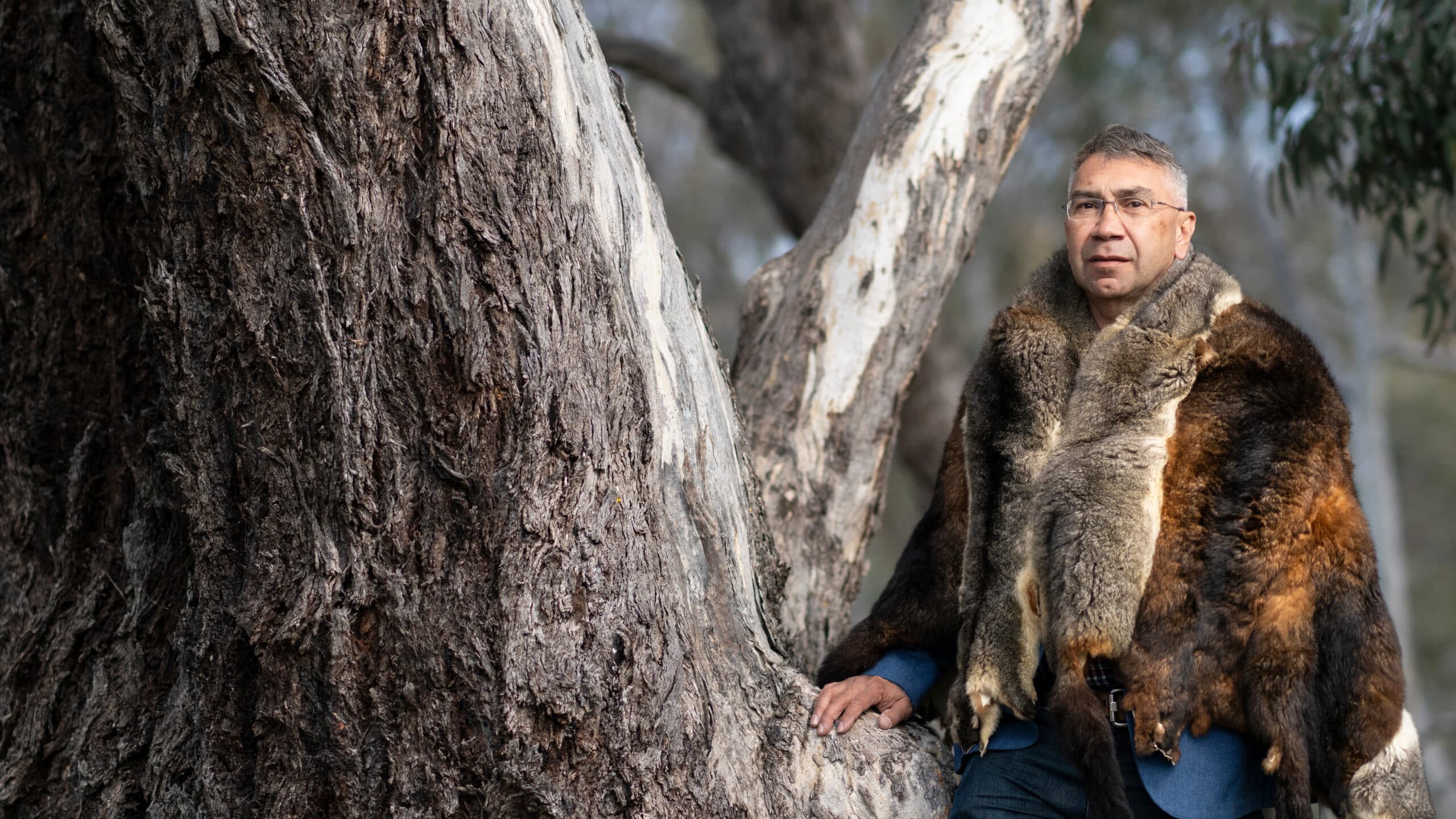 Paul Girrawah House, who has worked on Indigenous tree scarring, on Acton Penninsula, Canberra, Australia