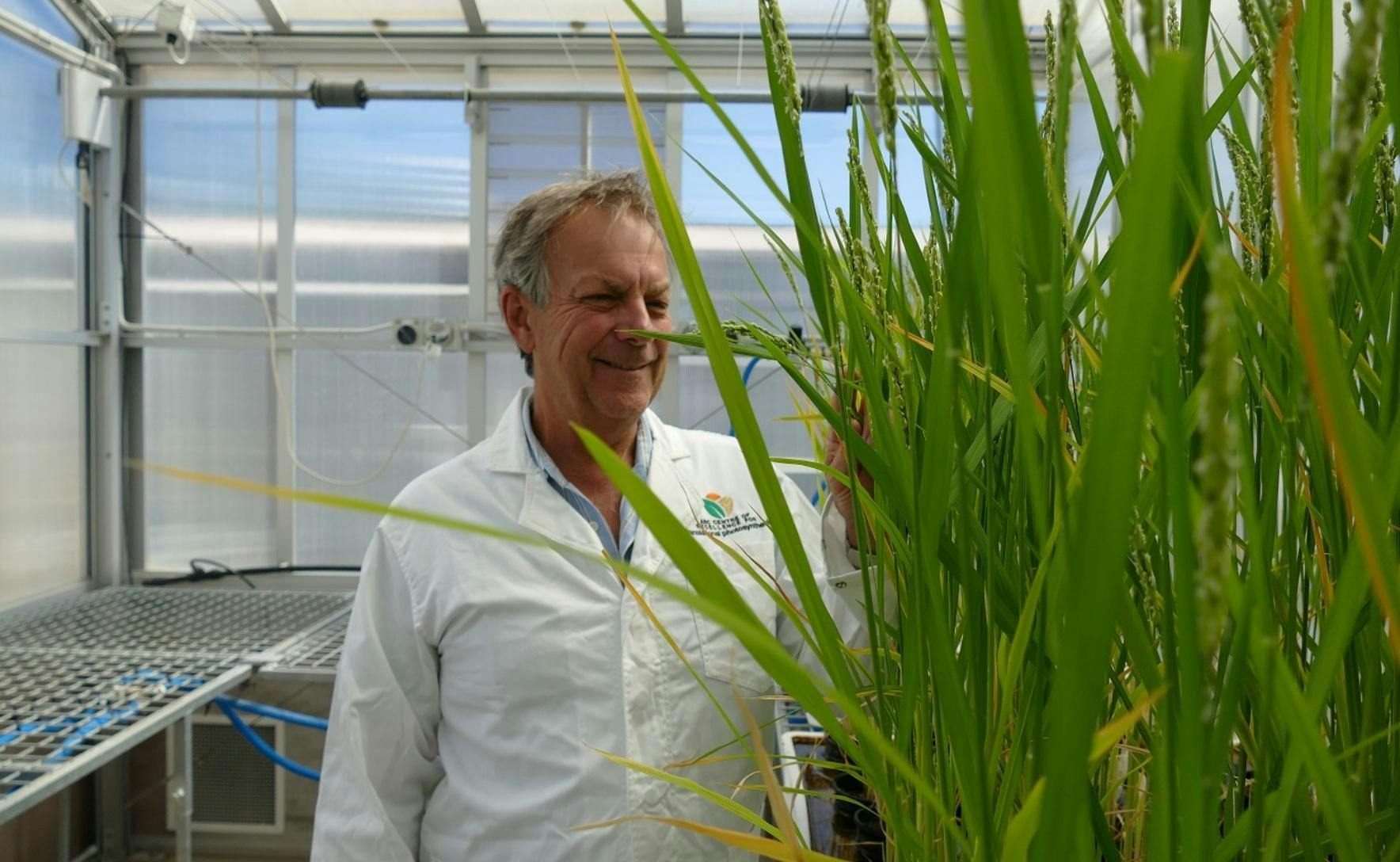 Bob Furbank wears a white lab coat and stands in a greenhouse. He is smiling and looking at long green grass shoots.