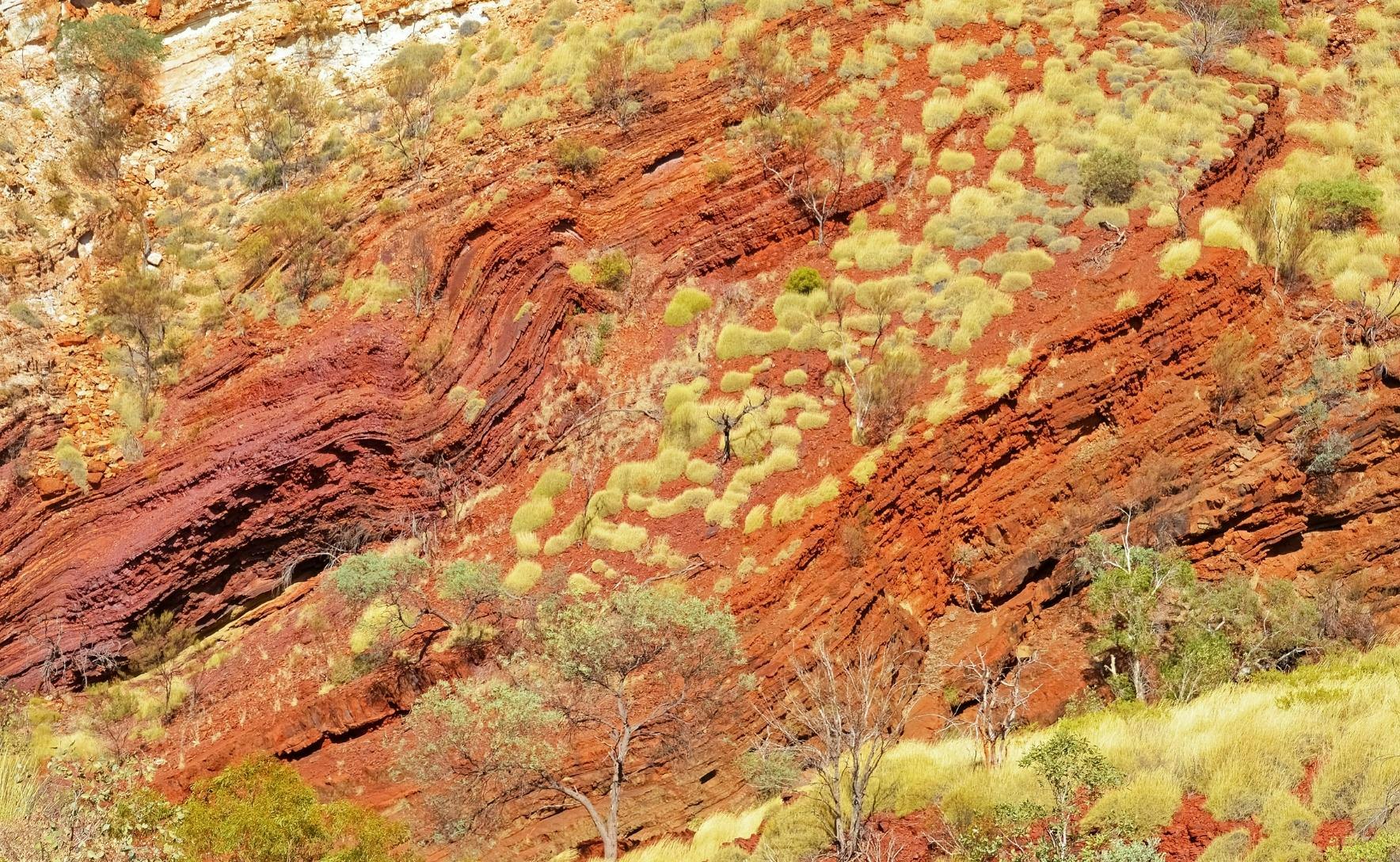 Red rock formations with sparse light green shrubs scattered across the red earth.