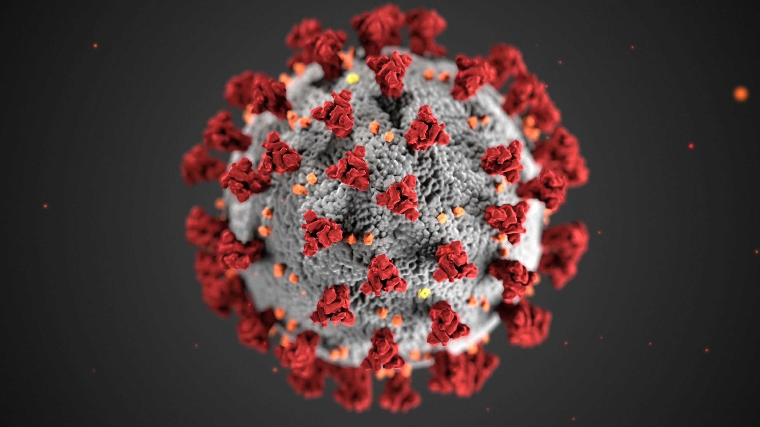 Illustration of the COVID-19 virus. The image shows a grey spherical structure with red spikes around the surface of the sphere.