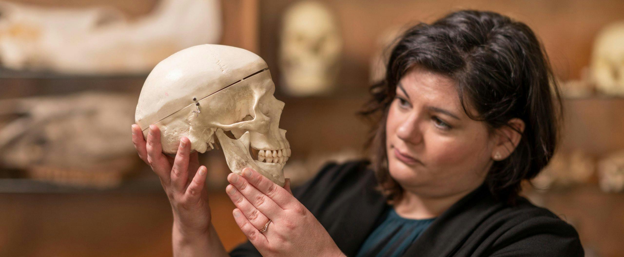Stacey Ward looks closely at a model of a human skull she is holding in her hands.