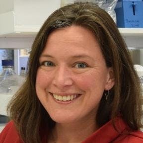 Associate Professor Anne Bruestle avatar image