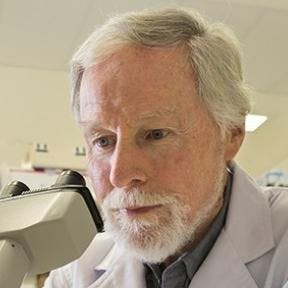 Professor Christopher Parish avatar image