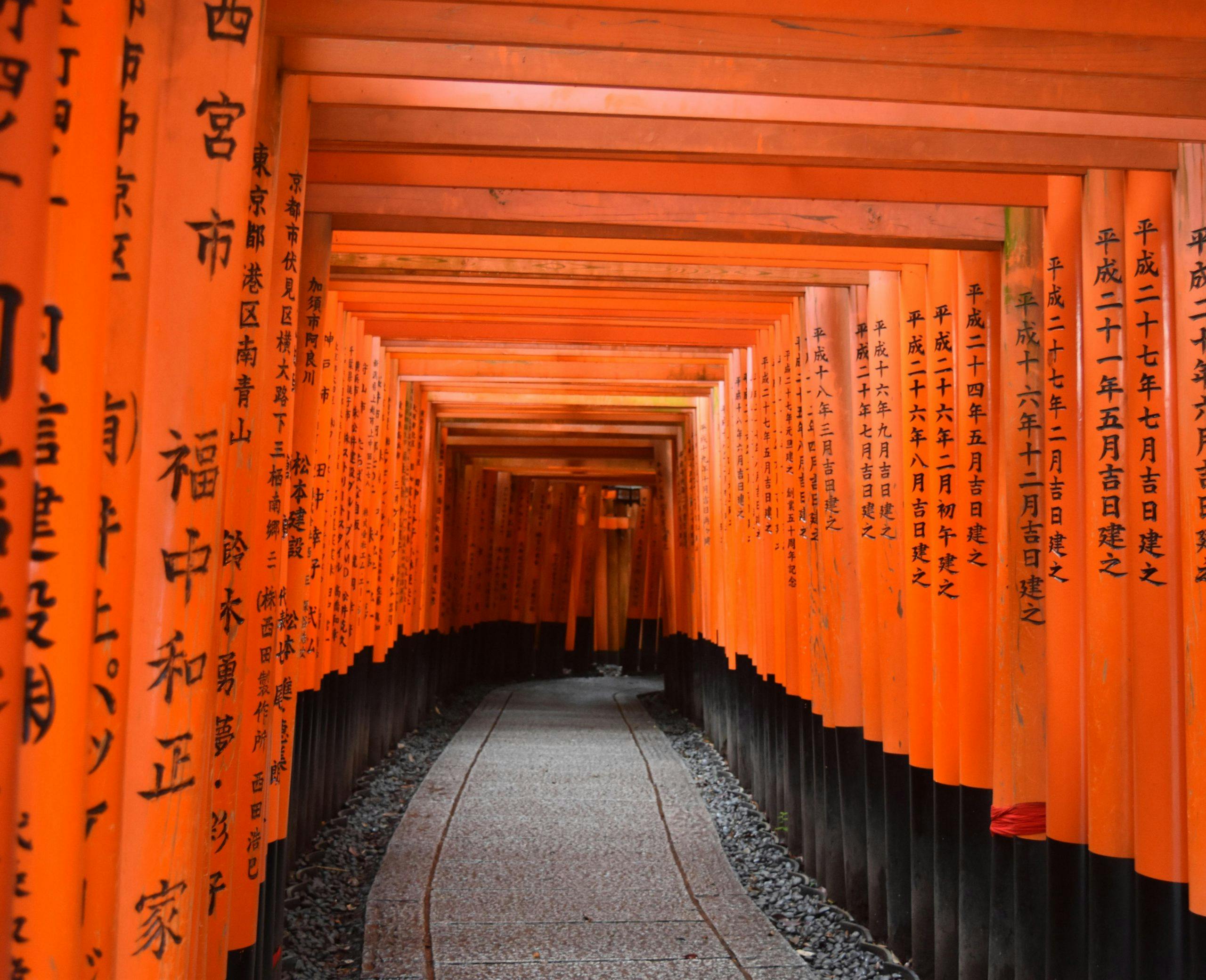 Brige orange gates with Japanese script are pictured. There is a path leading between the gates which continues into the distance