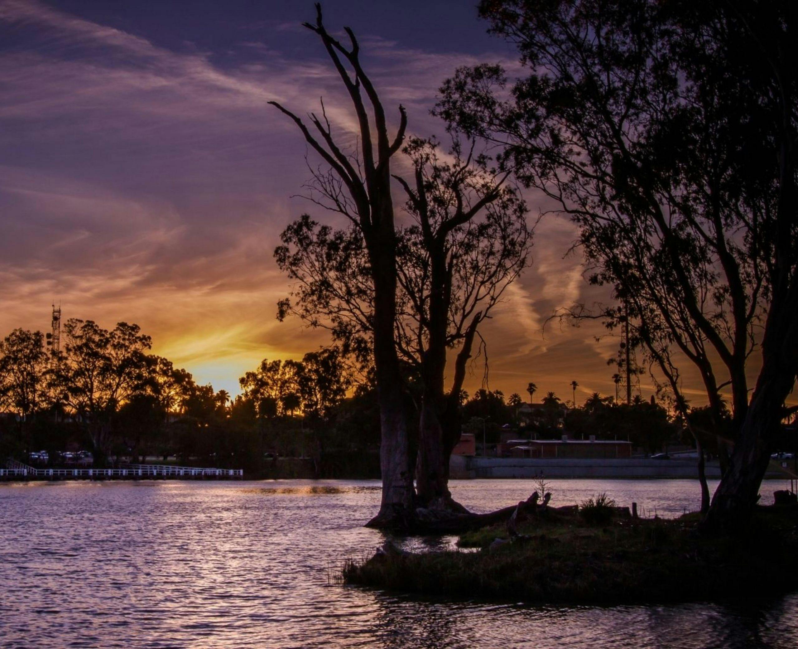 Purple and blue sky during a sunset over the Murray River. Trees line the edges of the river.