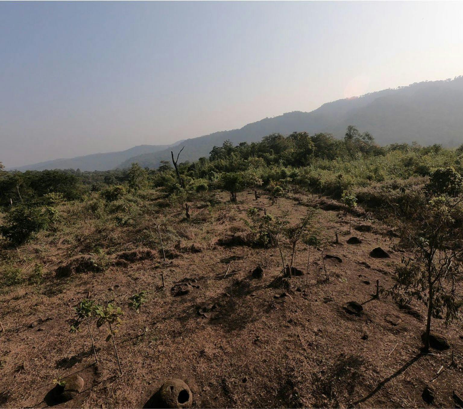Landscape of a site in India