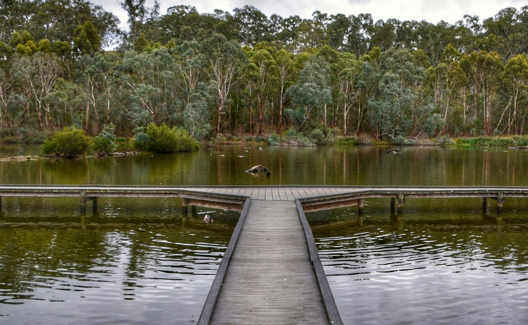 A wooden walkway leads out over a lake and a line of trees can be seen on the other side of the water.
