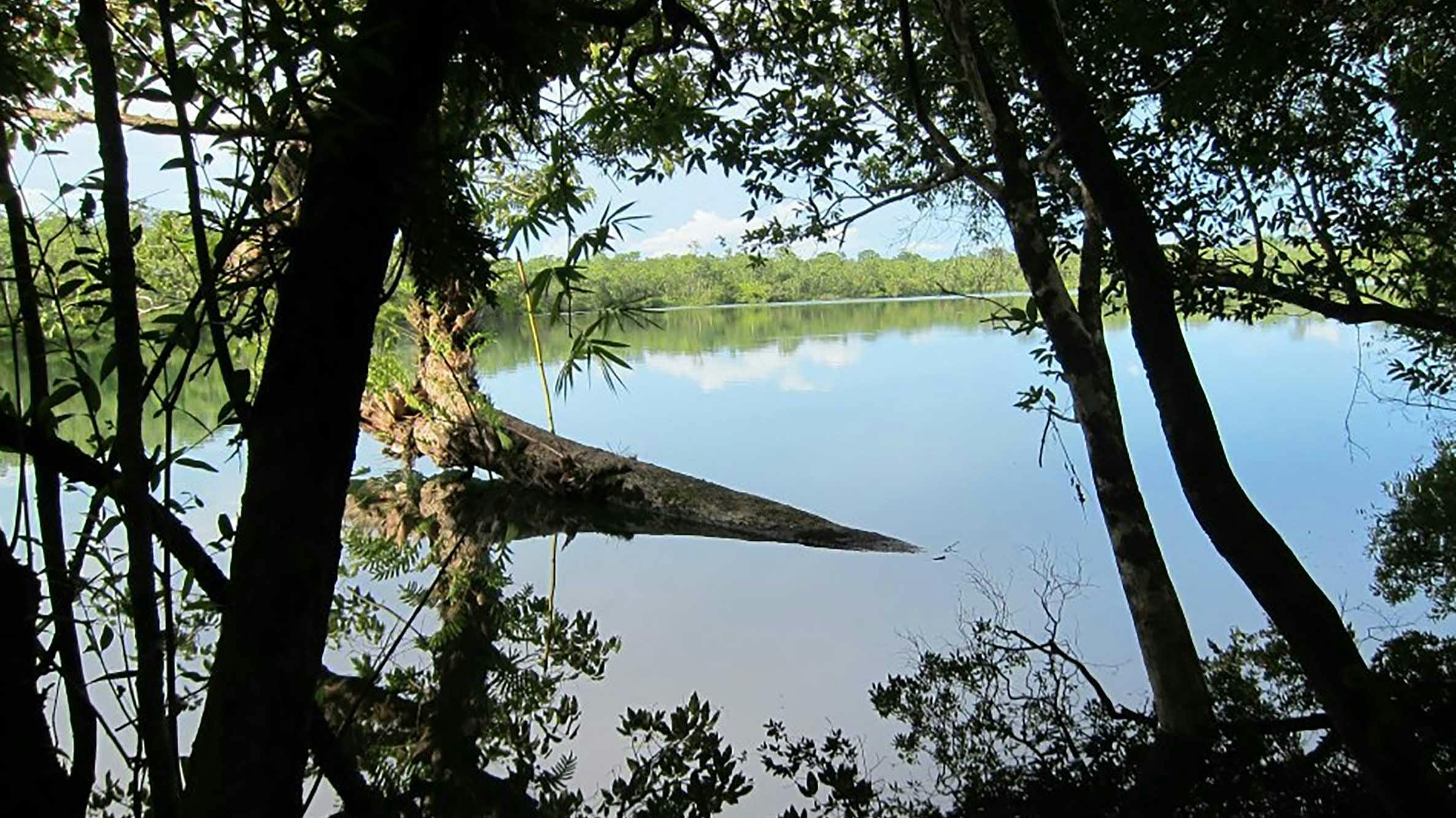 lake is in view between trees which frame the picture. There is blue sky in the background
