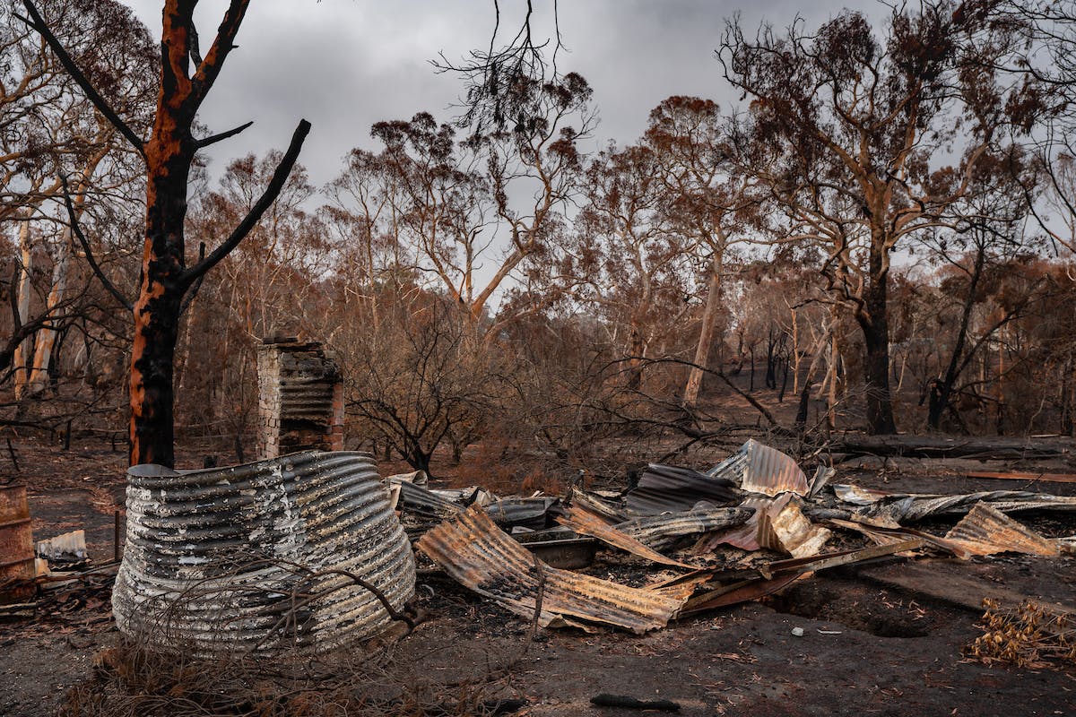 burnt corrugated iron sheet are crumpled on the ground surrounded by burnt bushland