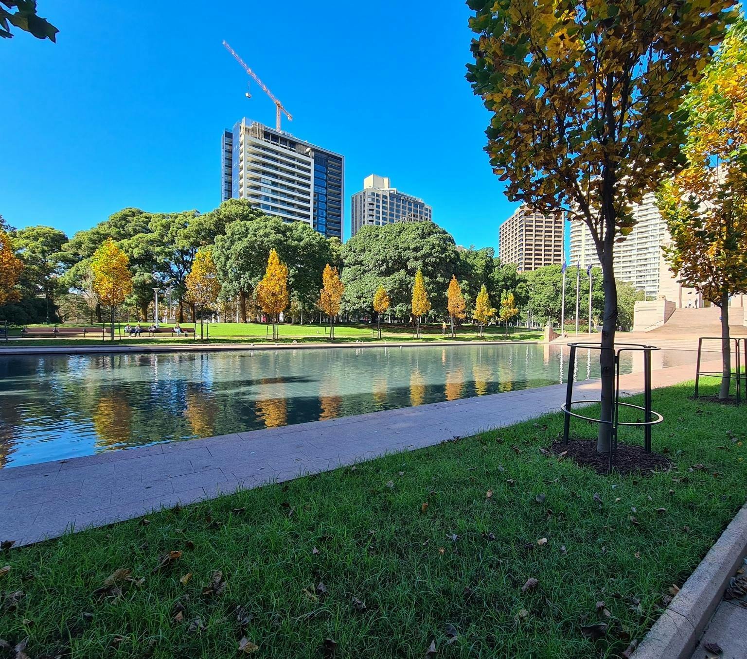 view of a concrete pond set in a park surrounded by office buildings