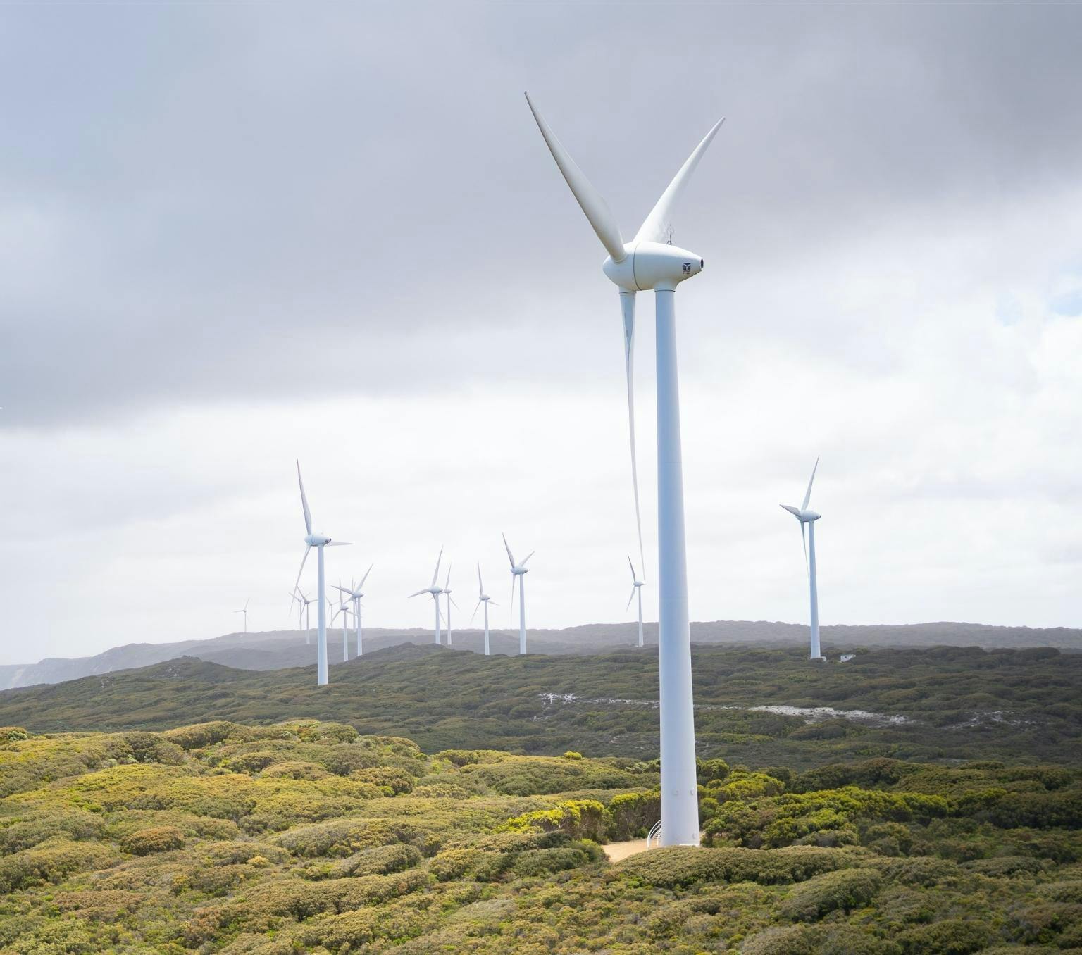 White wind turbines are [ictured on a green landscape next to the ocean with a grey cloudy sky