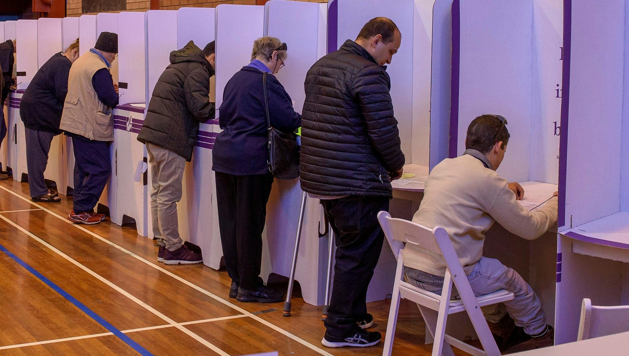 the backs of people standing in a row at voting booths