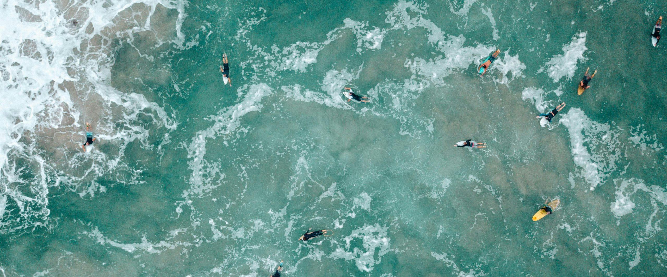 An aerial view of surfers paddling in the water.