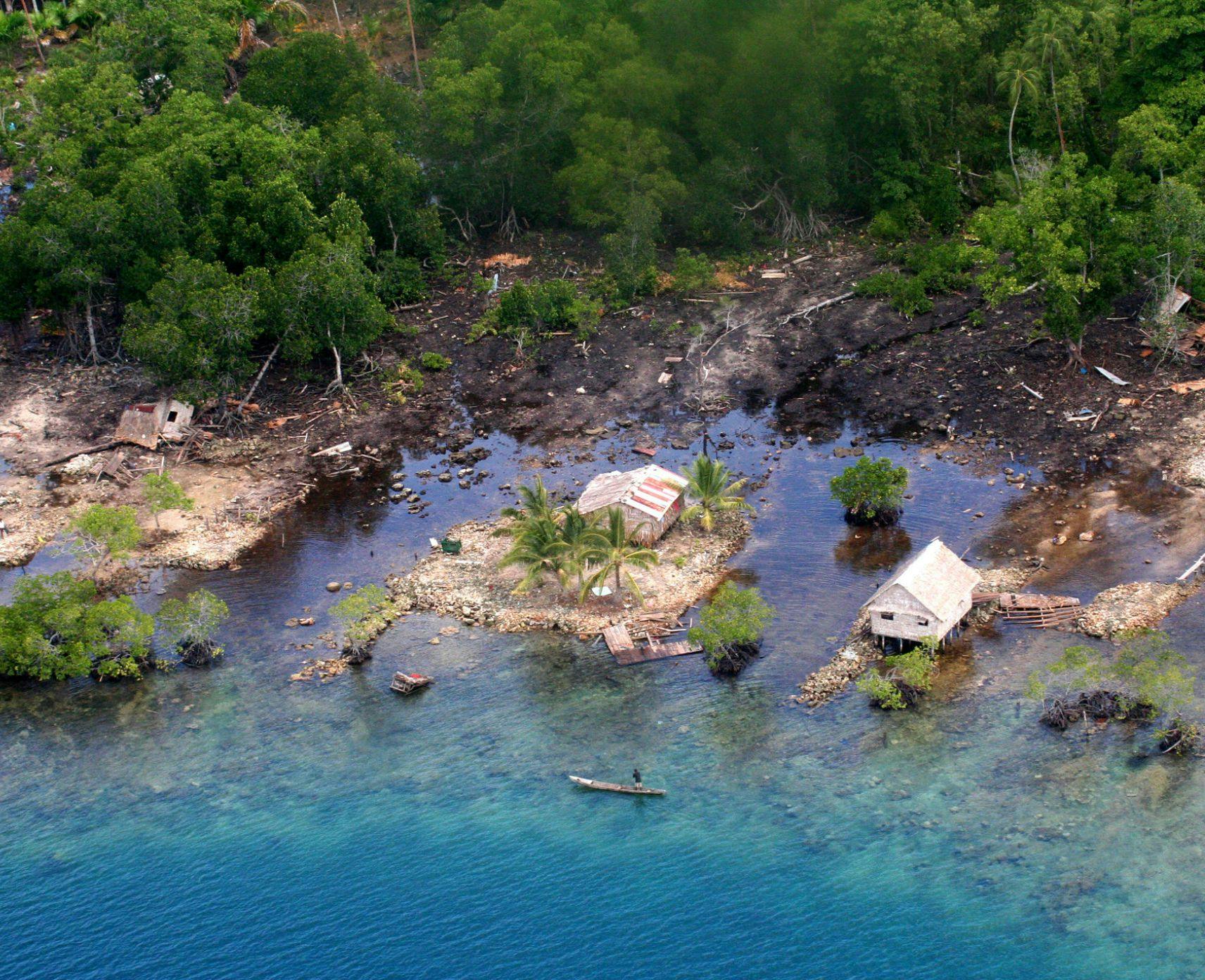An image of the Solomon Islands after a tsunami, there are trees, isolated houses and blue green ocean.