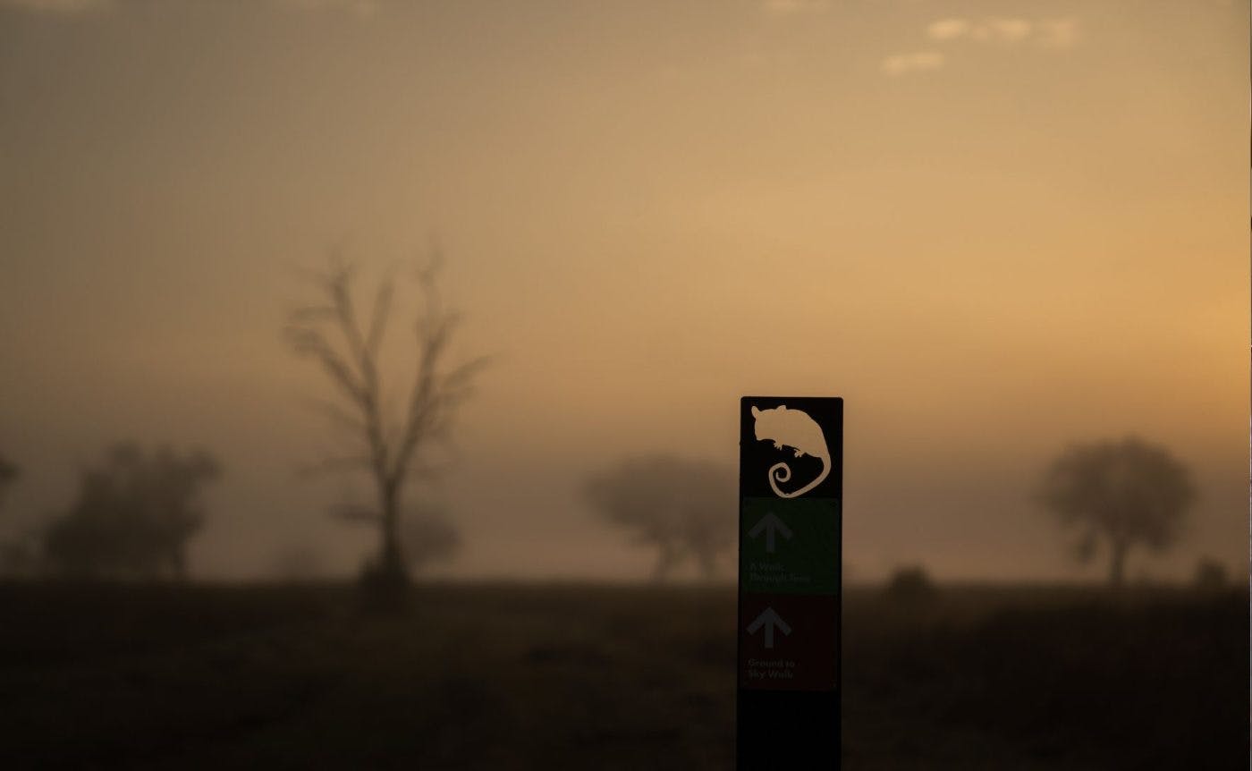 The Mulligans Flat Woodland sanctuary at sunrise, shrouded in mist, with trees in the distance. There is a signpost with a cut out in the shape of a marsupial with a long tail.