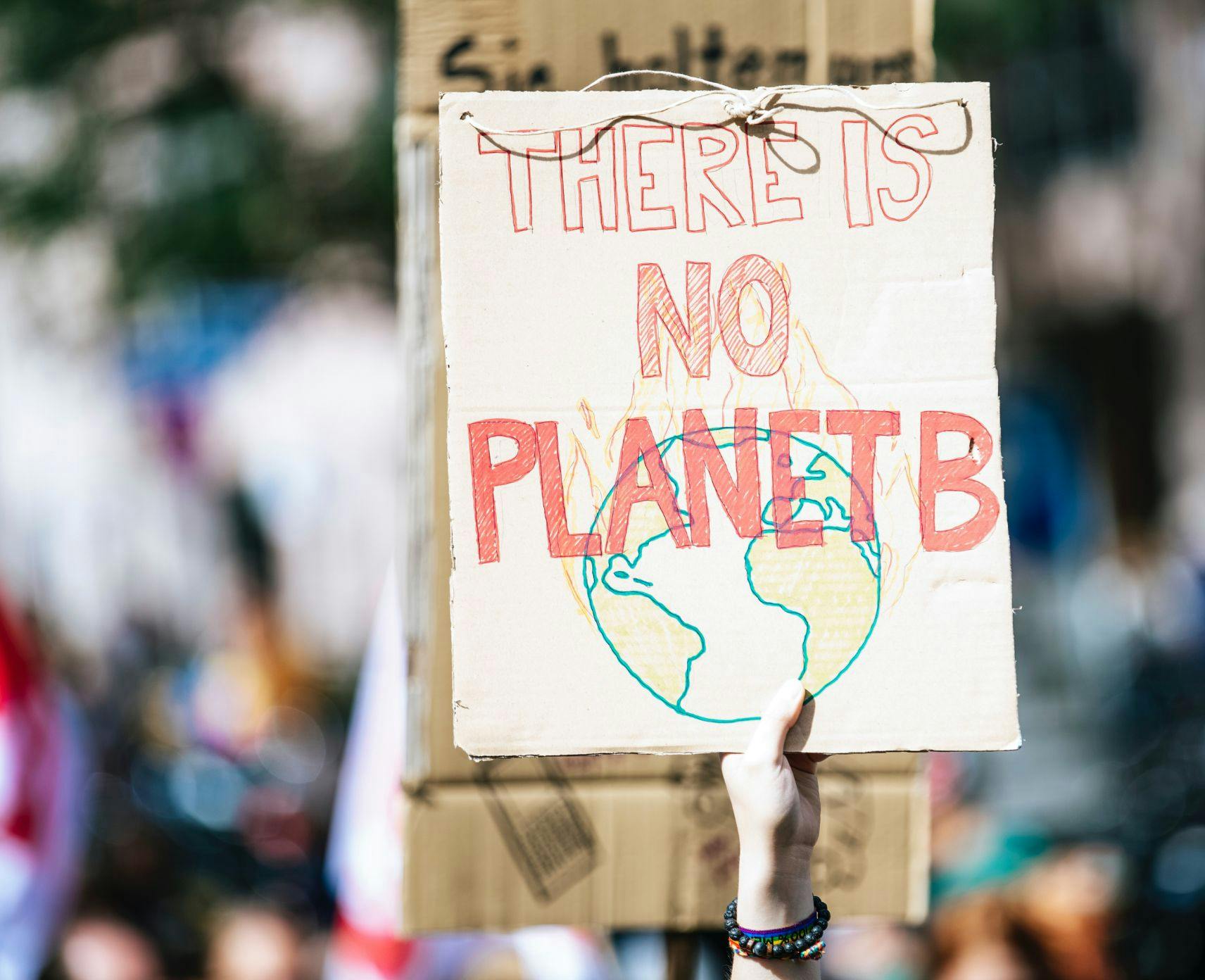 Person holding a sign reading 'There is no Planet B'
