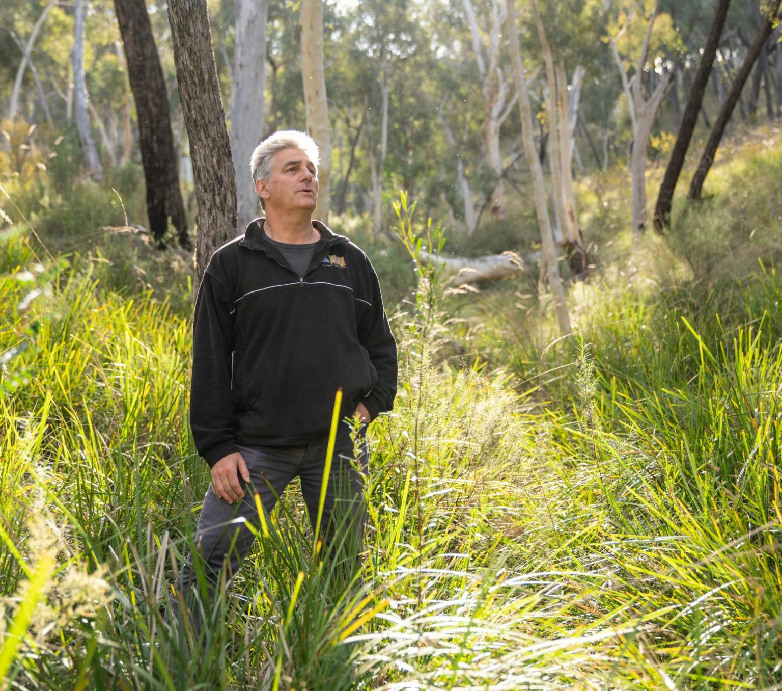 Professor David Lindenmayer from ANU surrounded by trees and tall grass