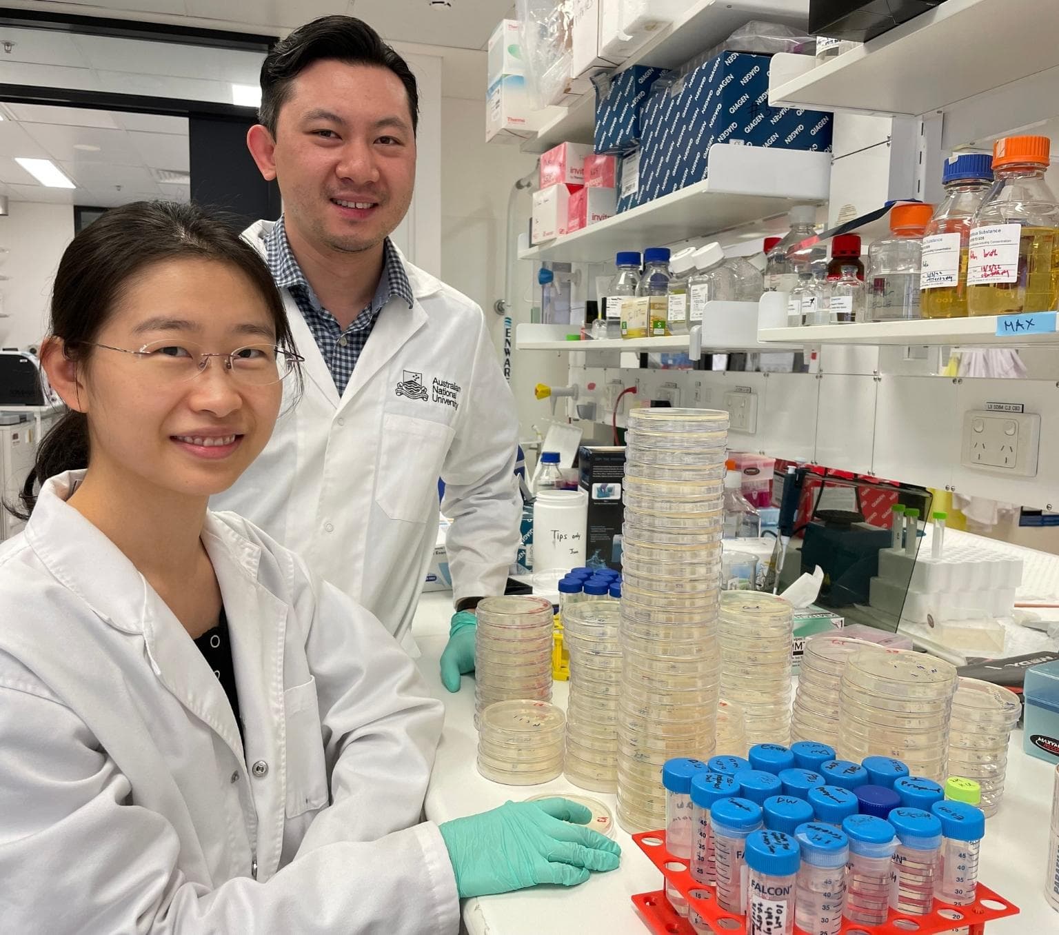 Busting Bacteria Bacteria busting proteins offer potential for smarter drugs